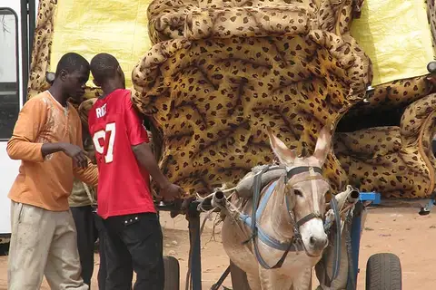 Foto Afrika reis – foto 90