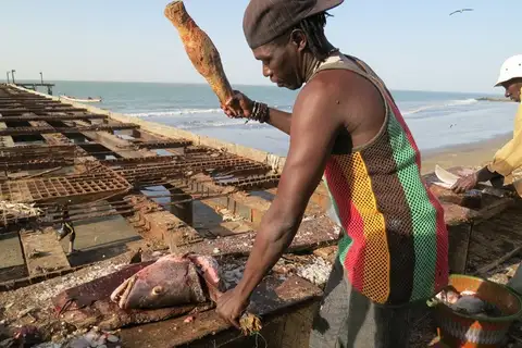 Foto Afrika reis – foto 20