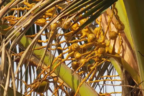 Foto Afrika reis – foto 68