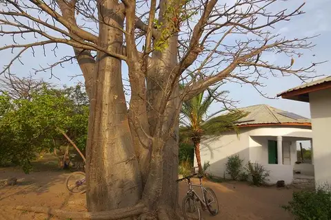 Foto Afrika reis – foto 63