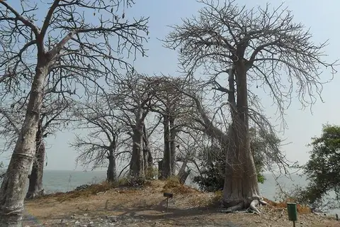 Foto Afrika reis – foto 50