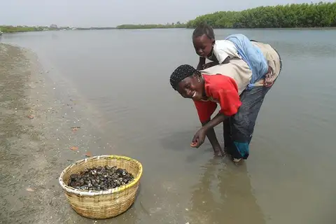 Foto Afrika reis – foto 49